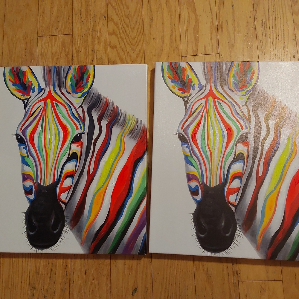 Colorful Zebra Canvas Art Set